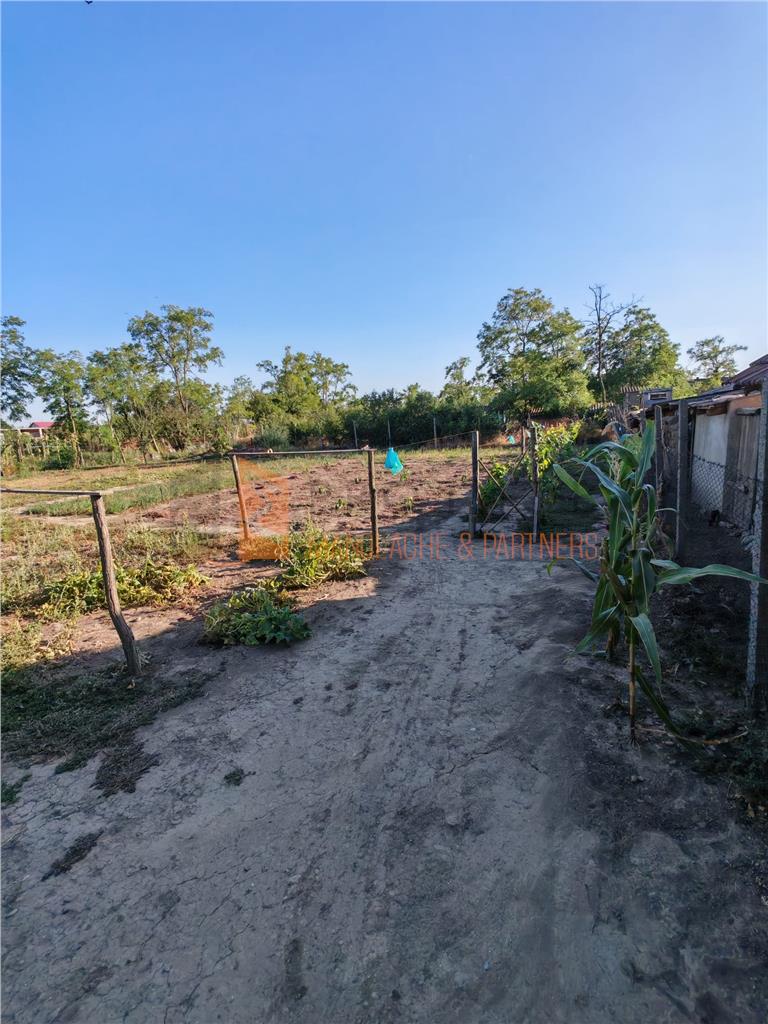Casa tip parter + teren zona Maxenu