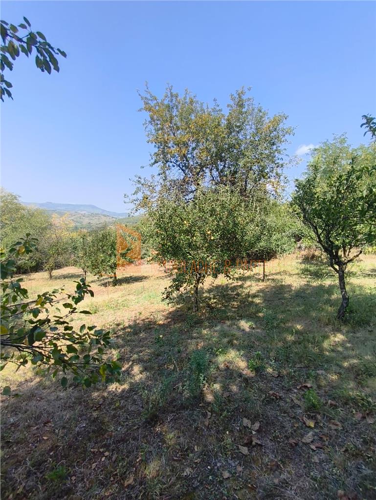 Casa tip parter zona Lunca Frumoasa, Parscov