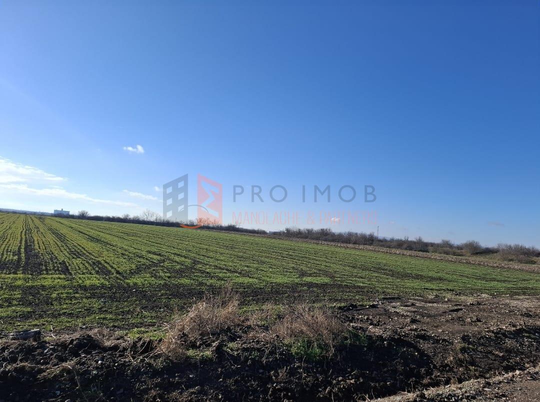 Teren intravilan 2461 mp zona Vadu pasii Nod rutier Autostrada A7