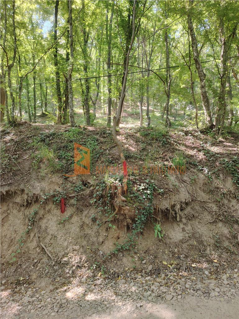 Teren intravilan zona Monteoru