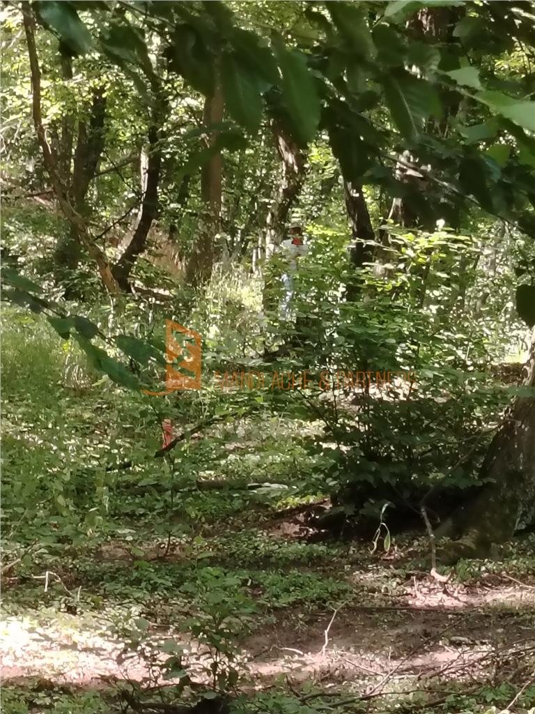 Teren intravilan zona Monteoru