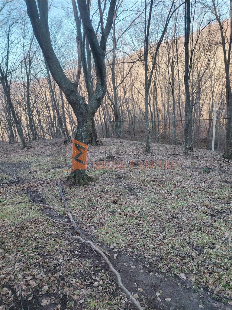 Teren intravilan zona Monteoru