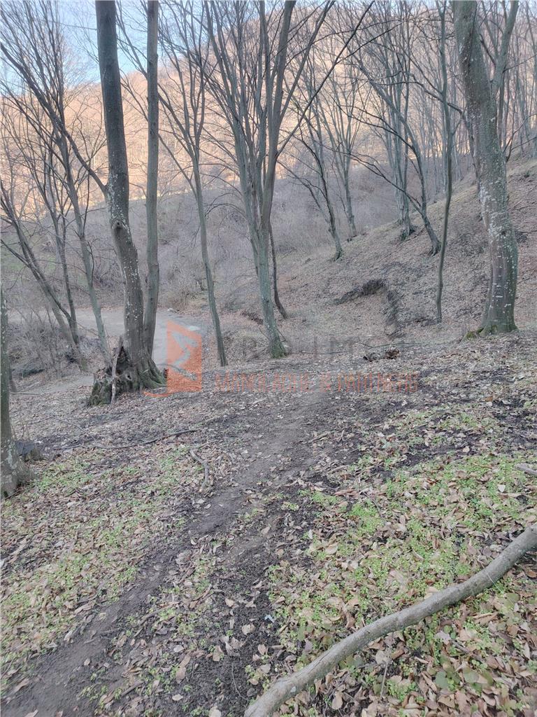 Teren intravilan zona Monteoru