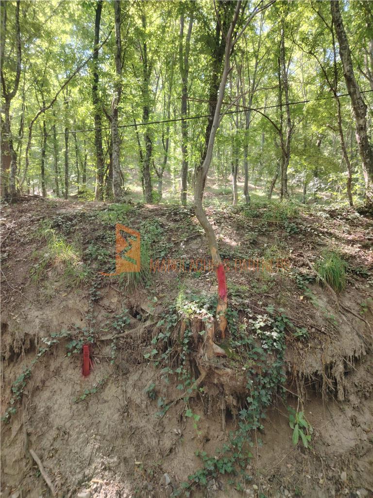 Teren intravilan zona Monteoru