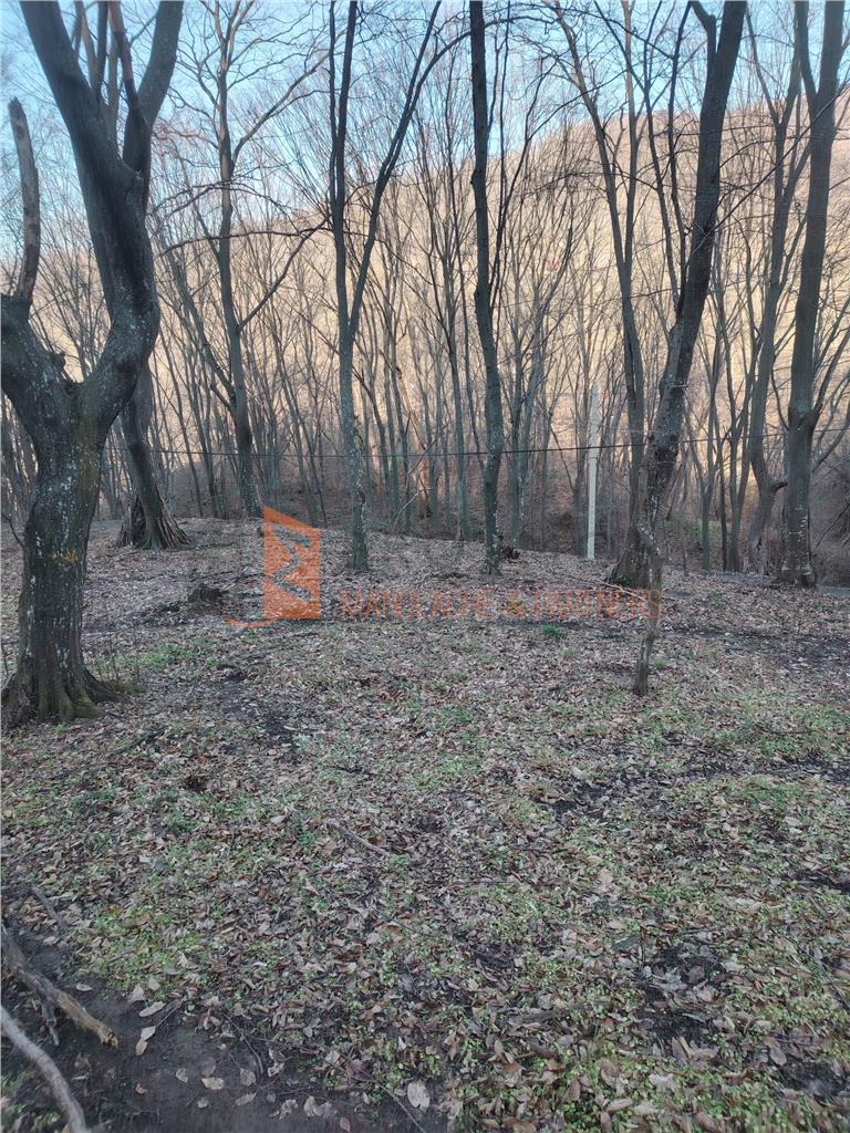 Teren intravilan zona Monteoru