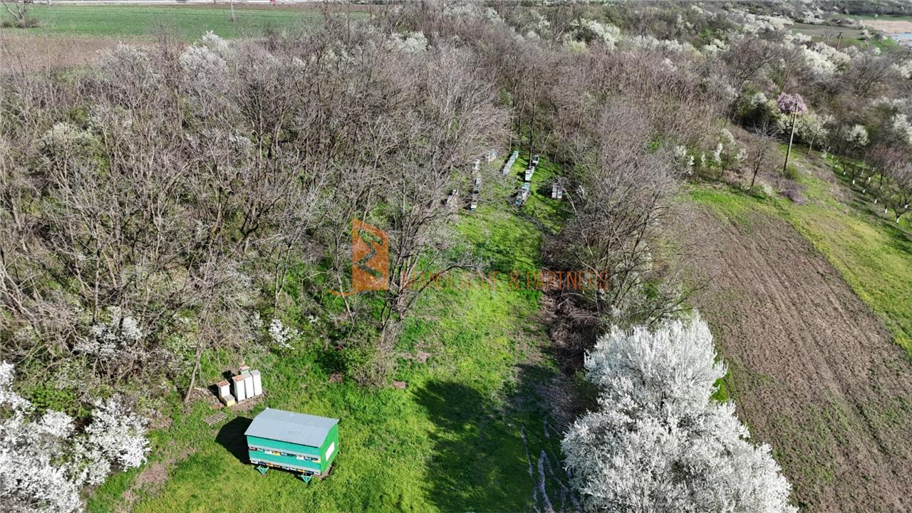 Teren intravilan zona Scurtesti