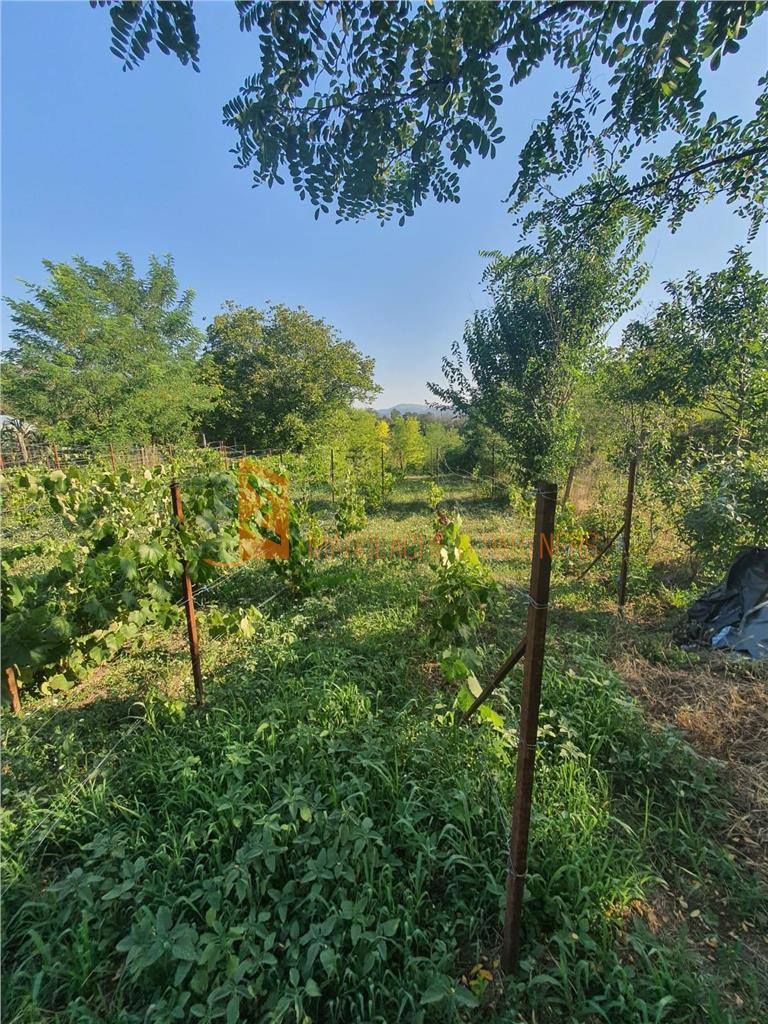 Exclusivitate! Teren intravilan zona Beceni
