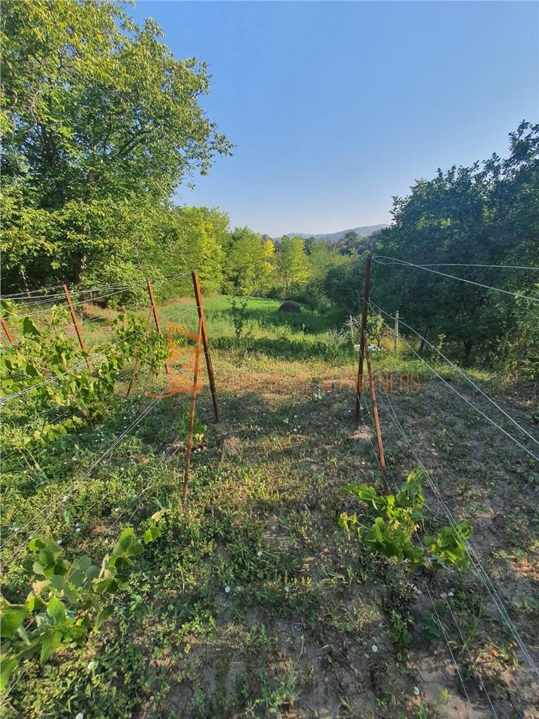 Exclusivitate! Teren intravilan zona Beceni
