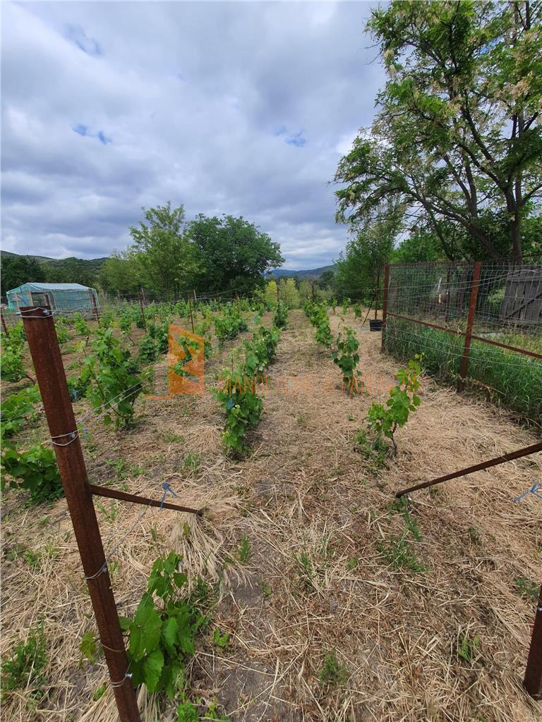 Exclusivitate! Teren intravilan zona Beceni