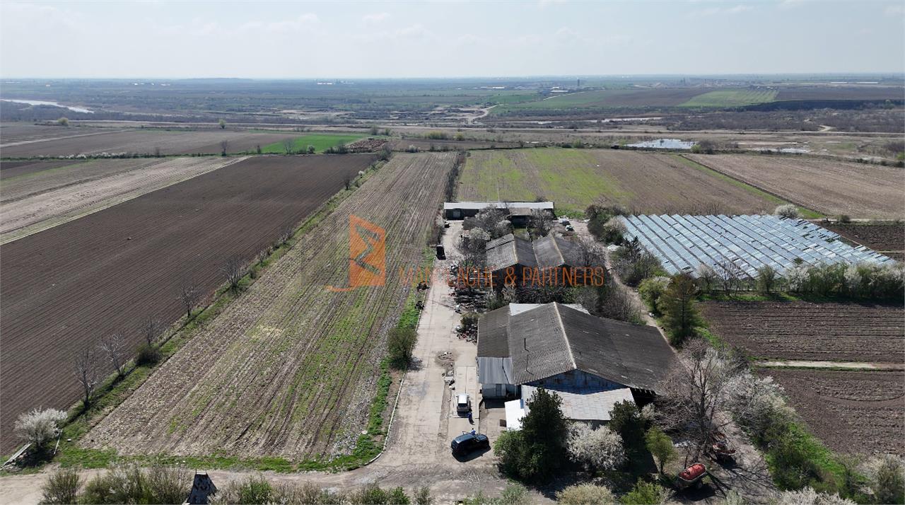 Hale + teren zona Scurtesti